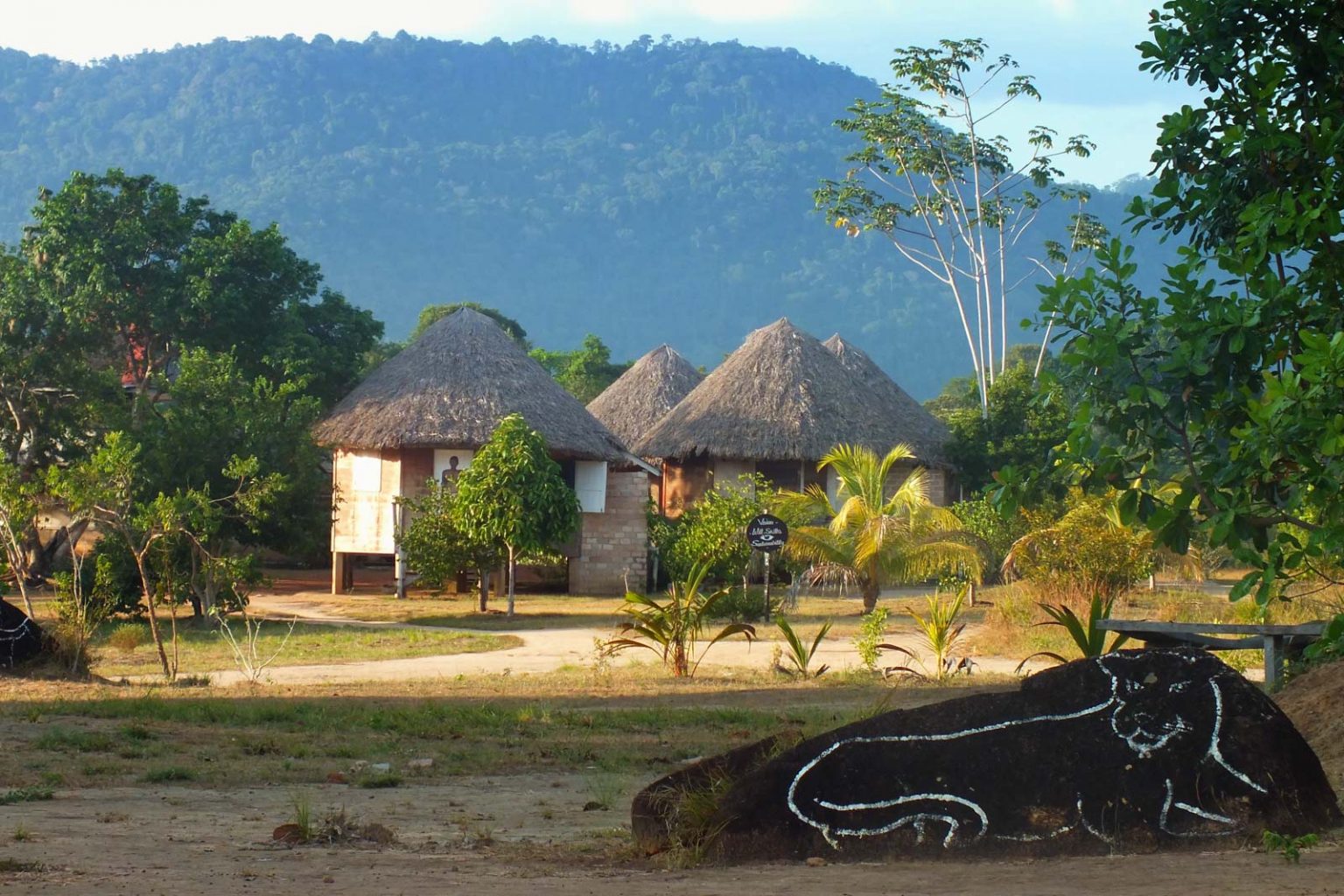 Guyana’s Green Heart Sylvana Alta