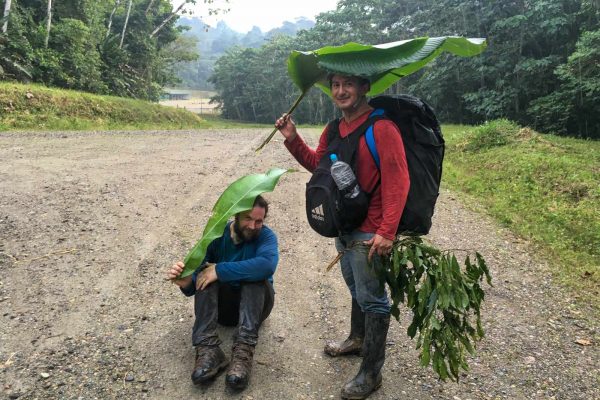 Adapting to rainforest fieldwork