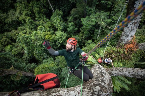Jez Davies exploring the canopy in Danum Valley, Borneo